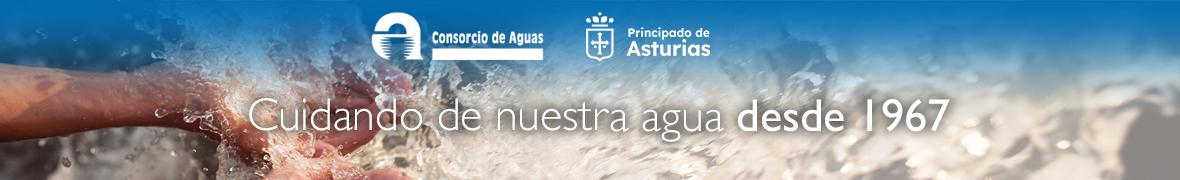 El Gobierno de Asturias sustituirá cinco bombas de la depuradora de Maqua,  en Avilés | iAgua