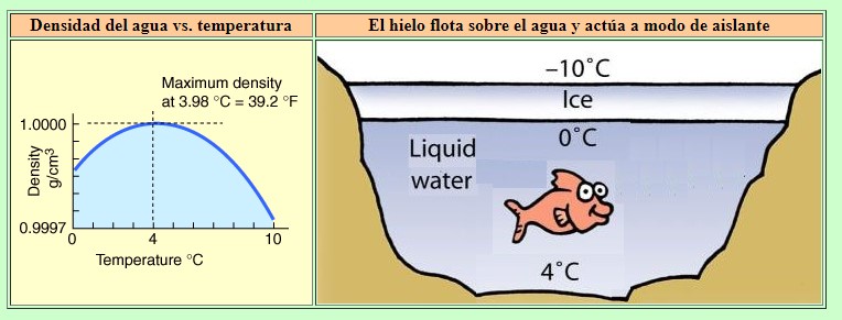 Cuál es la densidad del agua? | iAgua