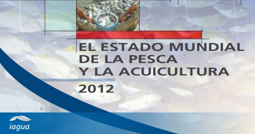 La FAO Publica Un Nuevo Informe Sobre El Estado Mundial De La Pesca Y ...