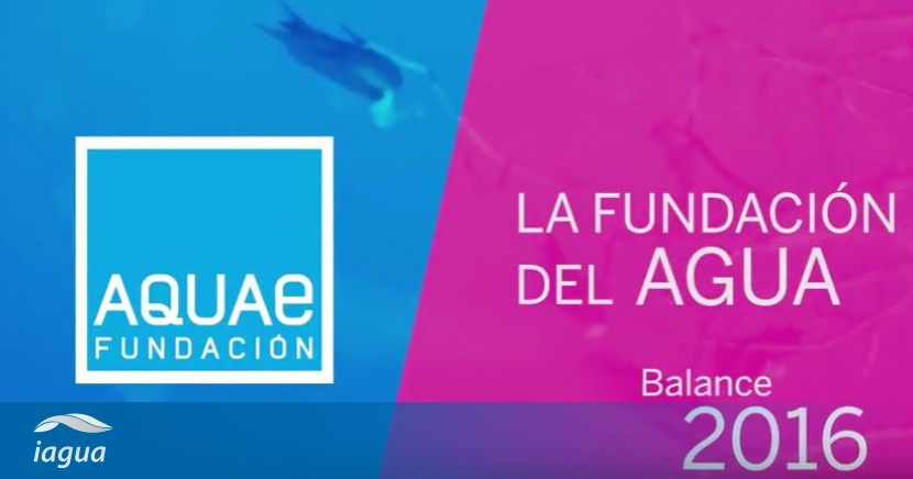 Fundación Aquae Publica Su Memoria Anual 2016 Iagua 3946