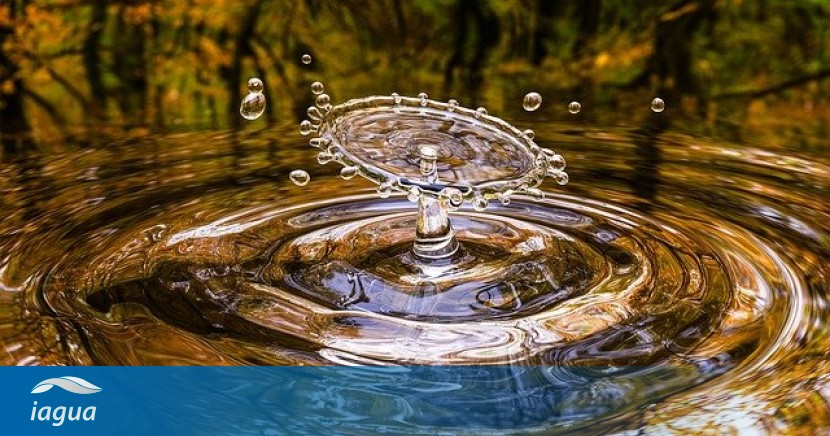 El agua y su importancia para la vida. | iAgua