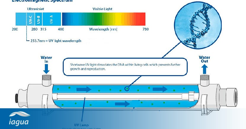 Purificación del agua residual con luz ultravioleta | iAgua