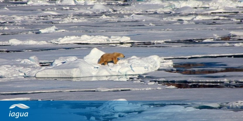 El Ártico, el punto más caliente del cambio climático | iAgua