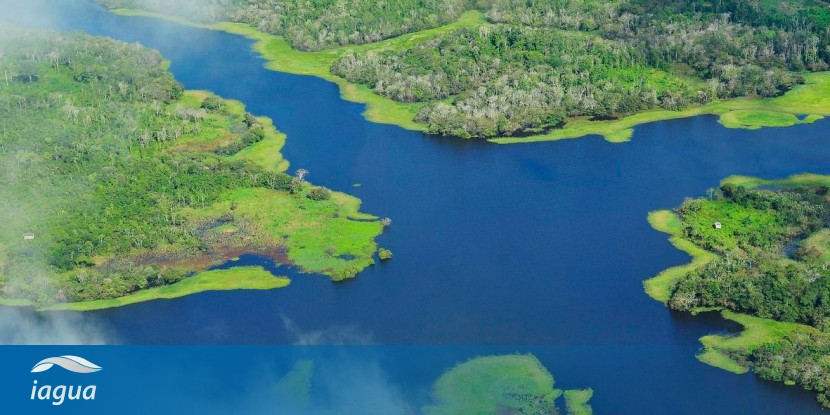 10 curiosidades sobre el Amazonas, el río de los excesos | iAgua