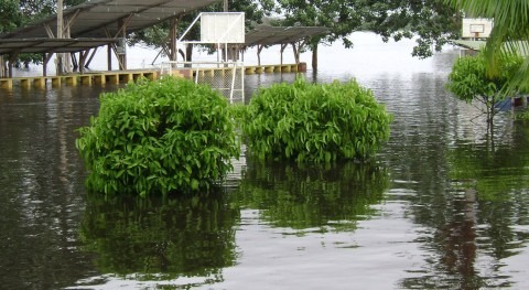 UNAL desarrolla sistema alertas inundaciones y deslizamientos