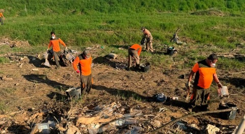 Generalitat Valenciana instalará gemelo digital monitorizar L’Albufera tiempo real