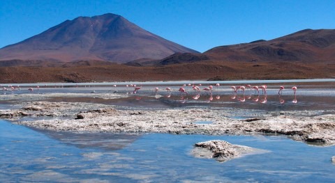 Bolivia aumentará seguridad hídrica US$500 millones financiamiento BID