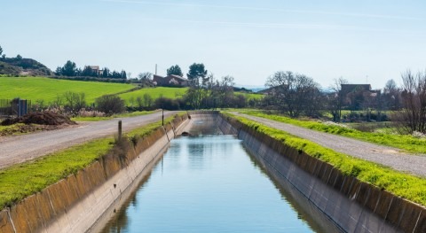 cultivos regadío Lleida han necesitado 14% más agua este año