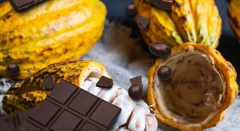 Chocolate: gusto huella hídrica paso