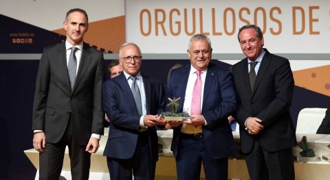 Saleplas recibe Premio Innovación 2019 XXIII Galardones Empresariables FEDETO