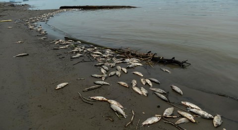 Brasil afronta peor sequía historia reciente más 13 país "sequedad extrema"