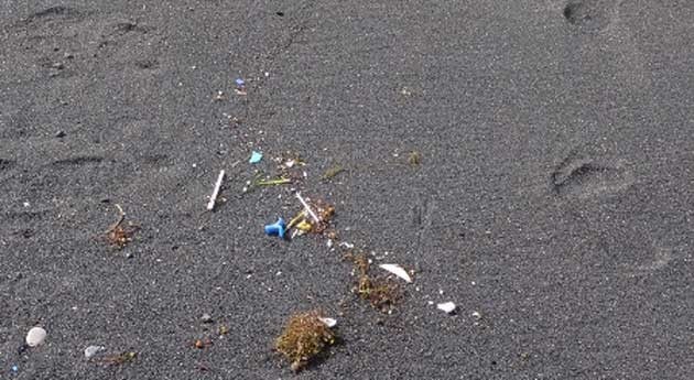 Contaminantes prioritarios presentes microplásticos depositados playas Gran Canaria