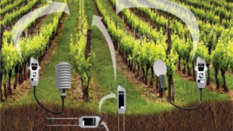 Uso de sensores en agricultura | iAgua