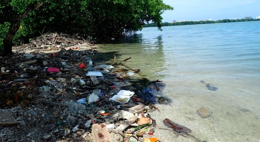 La contaminación por microplásticos también amenaza a las lagunas costeras  de todo el planeta | iAgua
