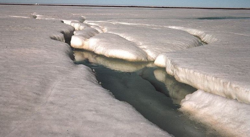 El deshielo del Ártico puede afectar al hábitat de muchos animales y al  clima | iAgua