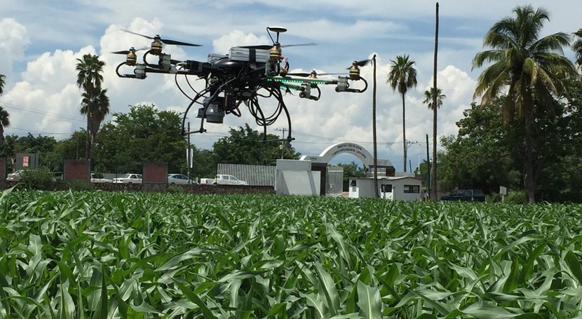 Cómo optimizar el riego agrícola con drones? | iAgua