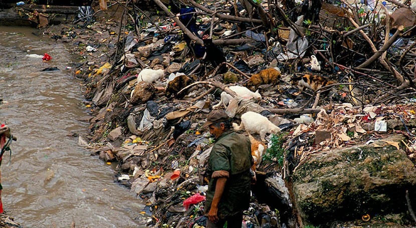 La degradación ambiental causa tantas muertes prematuras al año como los  conflictos | iAgua
