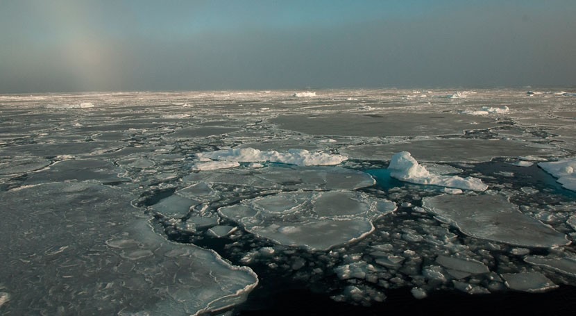 El 70 % de la cubierta del hielo del Ártico se forma y se derrite en un  solo año | iAgua
