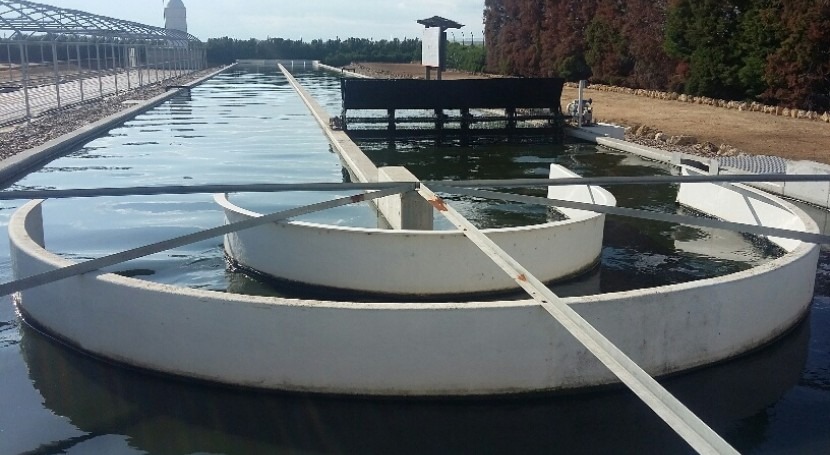 Lagunaje 2.0: depurando aguas residualescosechando microalgas (I)
