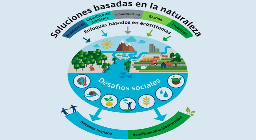 Soluciones Basadas En La Naturaleza (SbN) Para El Tratamiento De Las ...