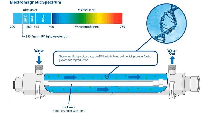 Purificación del agua residual con luz ultravioleta | iAgua
