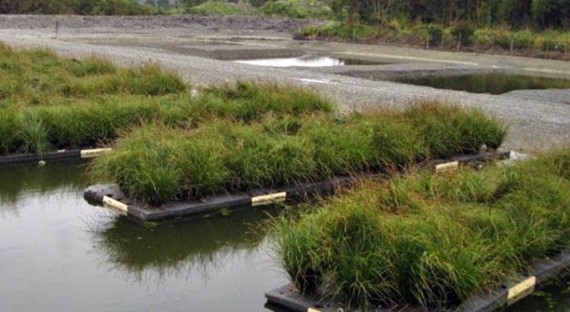 Humedales artificiales para depurar las aguas residuales en pequeñas  poblaciones | iAgua